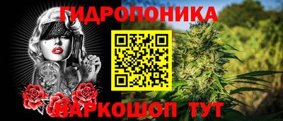 сатива Коммунар