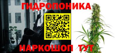 гашик Конаково